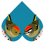 Logo Erica and Jash