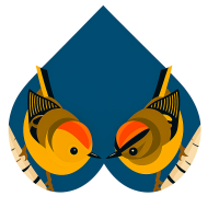 bird 4