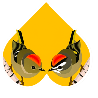 bird sticker 1